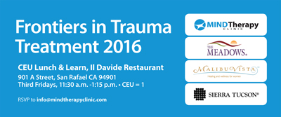 Integrated Trauma Treatment - frontiers in trauma treatment - family recovery institute